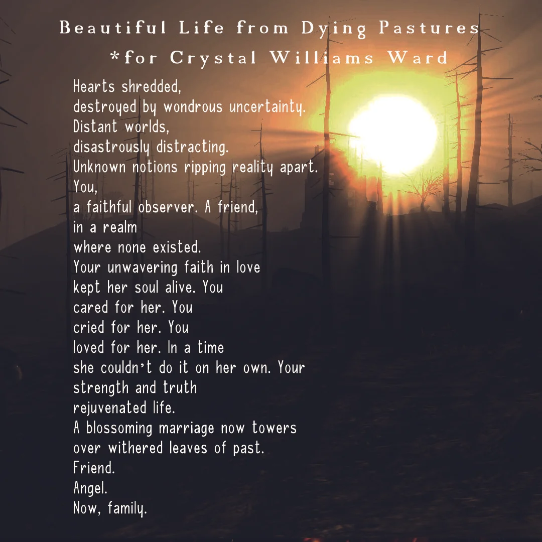 beautiful life from dying pastures.jpg