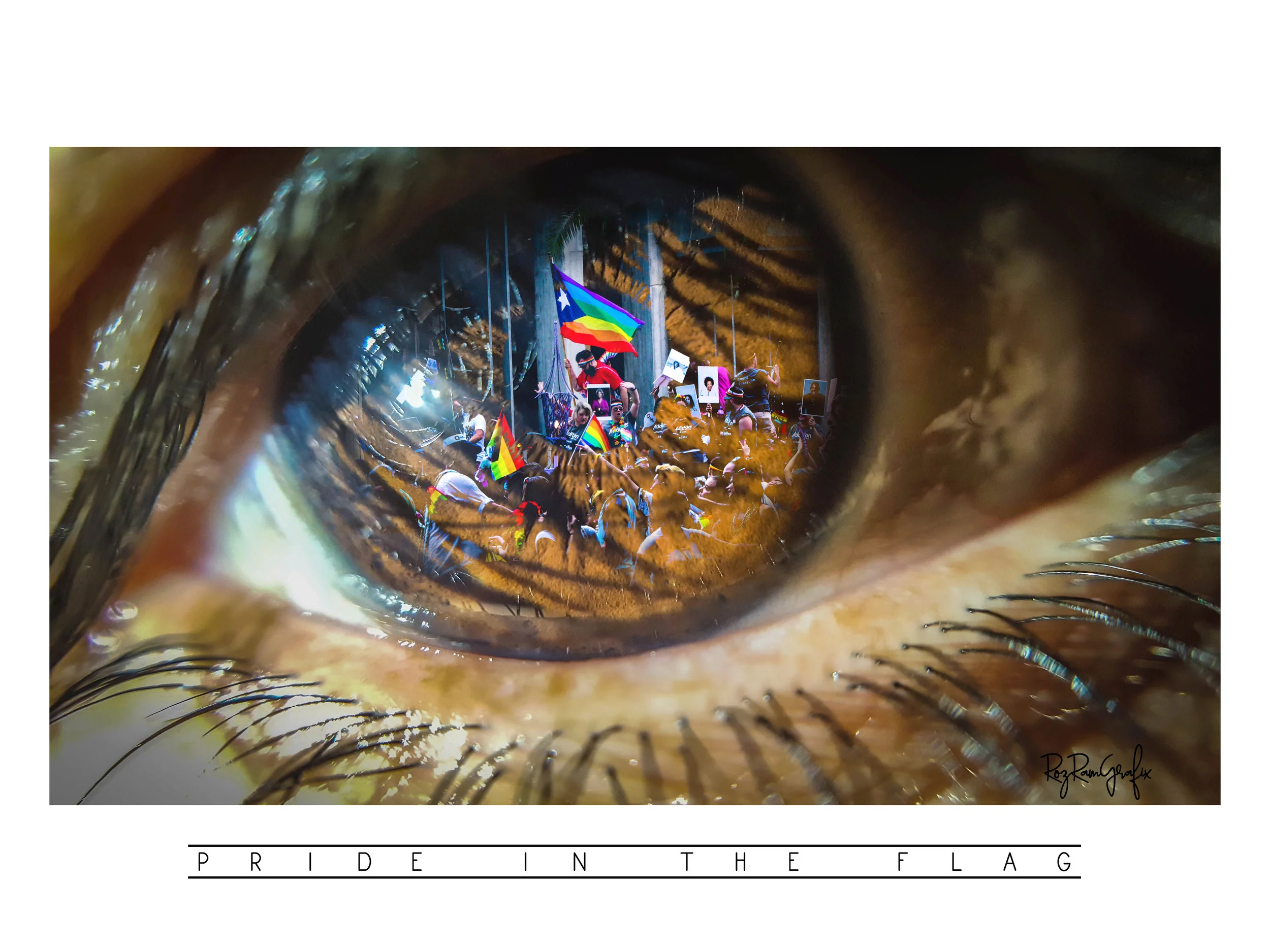    Pride in the Flag   was featured in the “No Sight Left Unseen” show at 1st Thursdays at the Orlando Museum of Art 