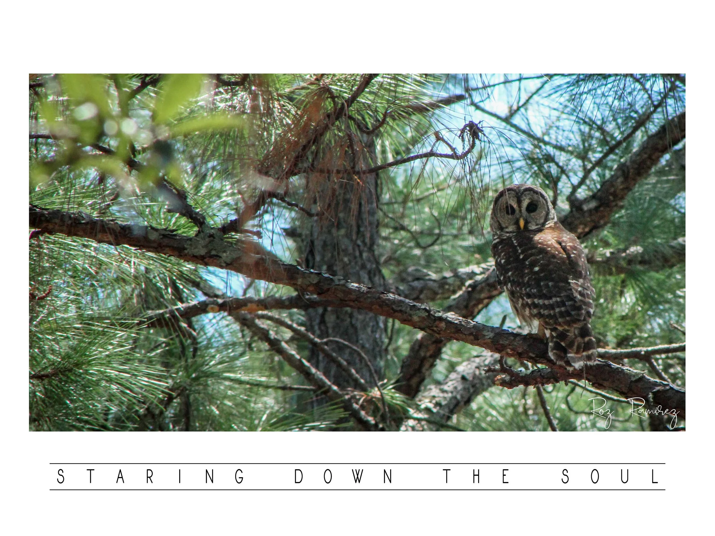 staring down the soul.jpg