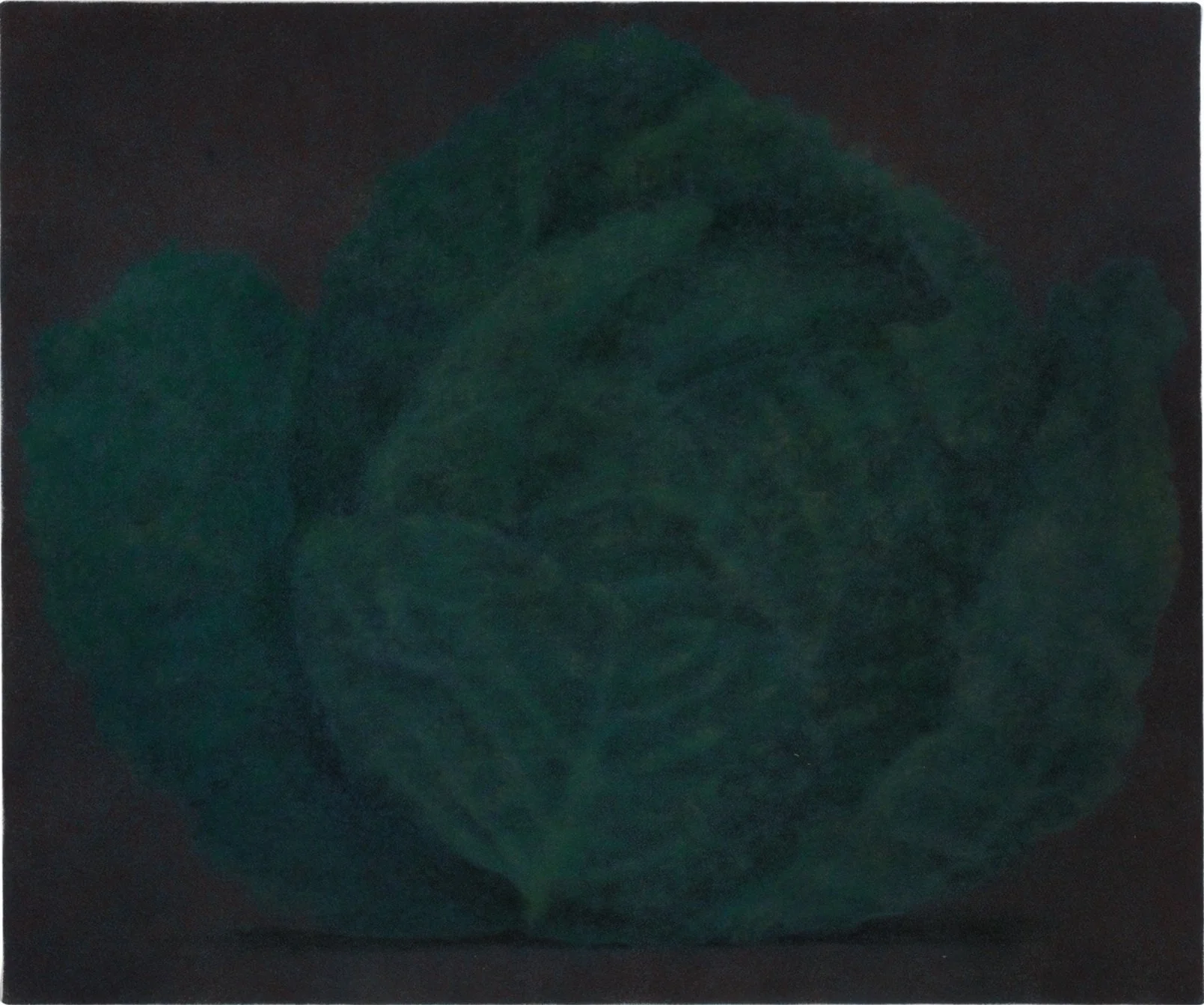 JIL%3AP+11_Johnny+Izatt-Lowery_A+Cabbage_2021_Pigment+and+pastel+on+crepe_51cm+x+61cm_LowRes_DarkVersion.jpg