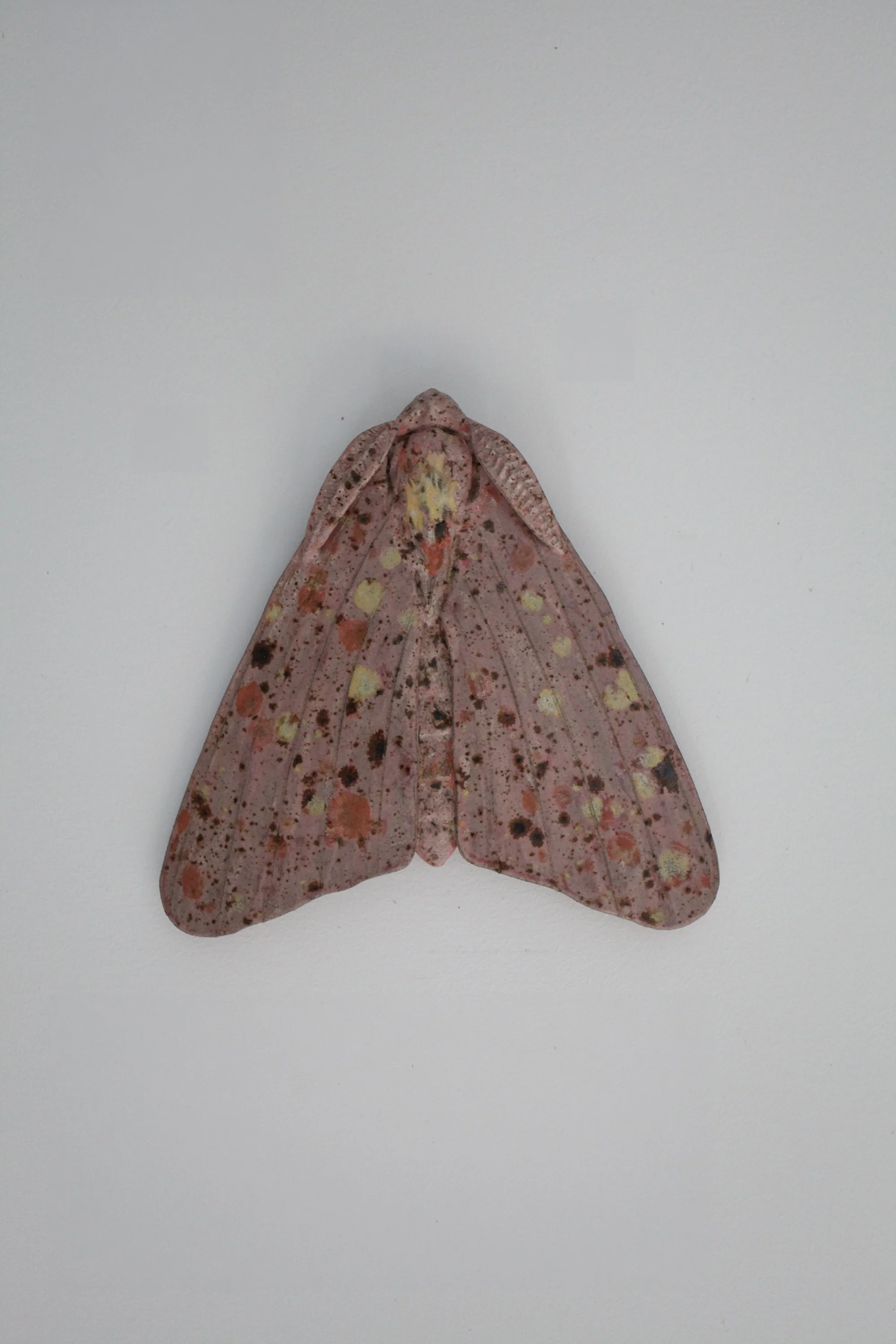 CA0004_Carl Anderson_Moth_2026_Glazed stoneware_18.50 x 18.50 x 3.20 cm, 7.28 x 7.28 x 1.26 in._LowRes_1.jpg
