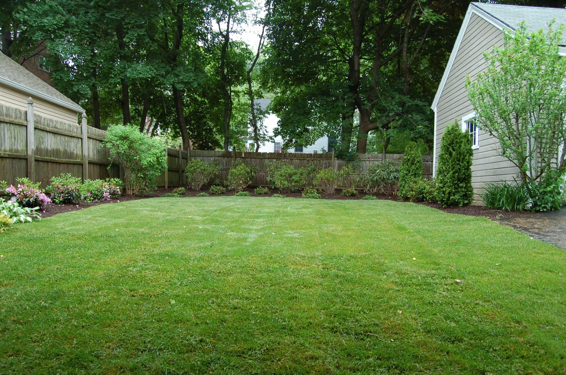 Signs You Need Expert Lawn Care in West Hartford &amp; Simsbury, CT