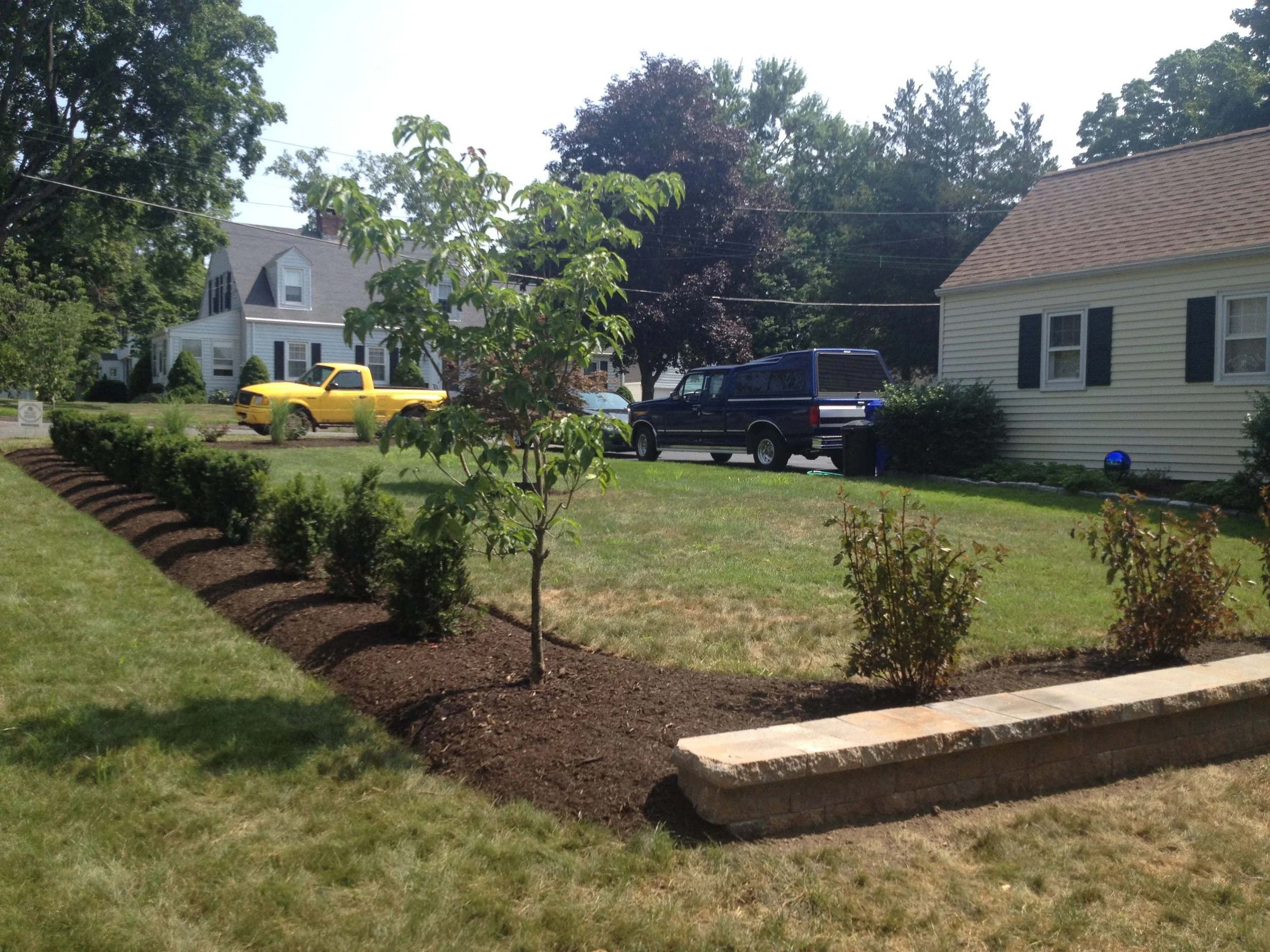 6 Plantings to Consider for a Beautiful Bit of Privacy in the Wethersfield and Southington, CT Areas