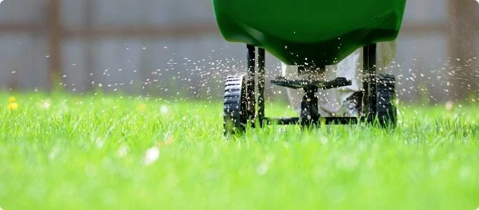 Boost Property Value with Lawn Care Services in West Hartford & Farmington, CT