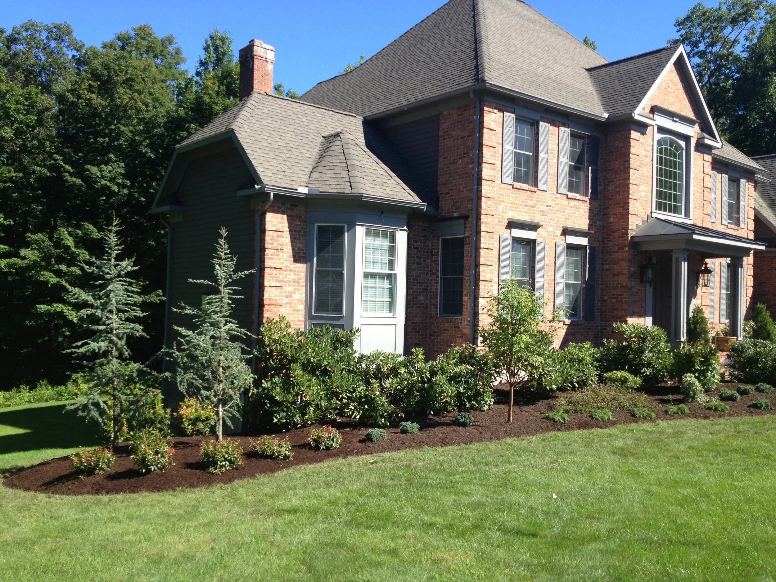 Landscaping With Plantings: How to Build a Colorful Perennial Border That Thrives in Southington, CT