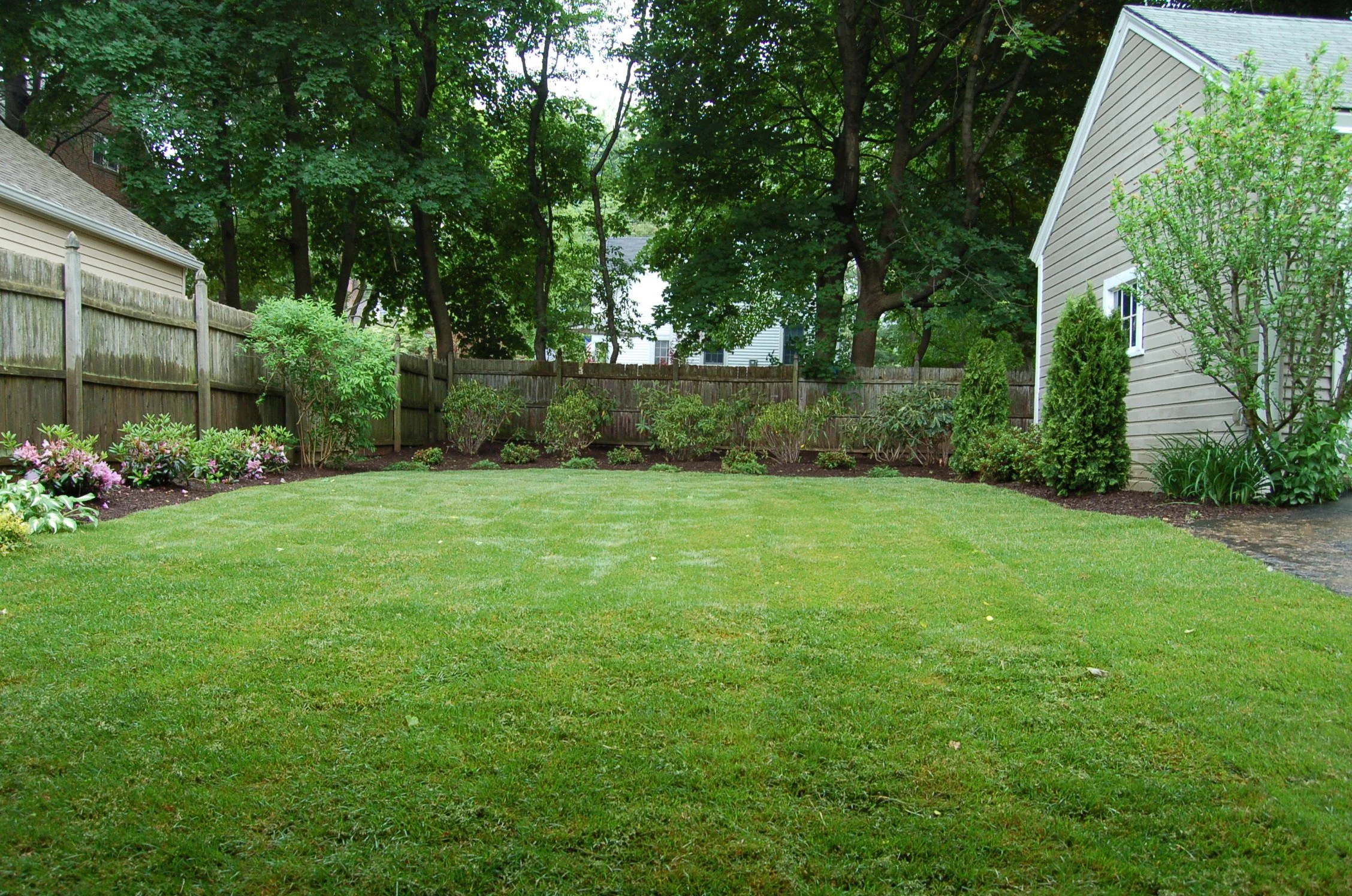 How Landscaping and Plantings in Avon, CT, Can Transform Your Backyard Into a Family Picnic Haven