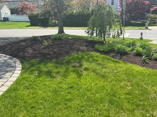 8 Common Lawn Maintenance Mistakes Connecticut Residents Should Avoid