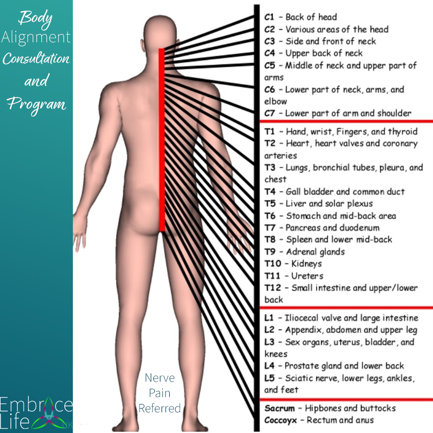 Body Alignment.png