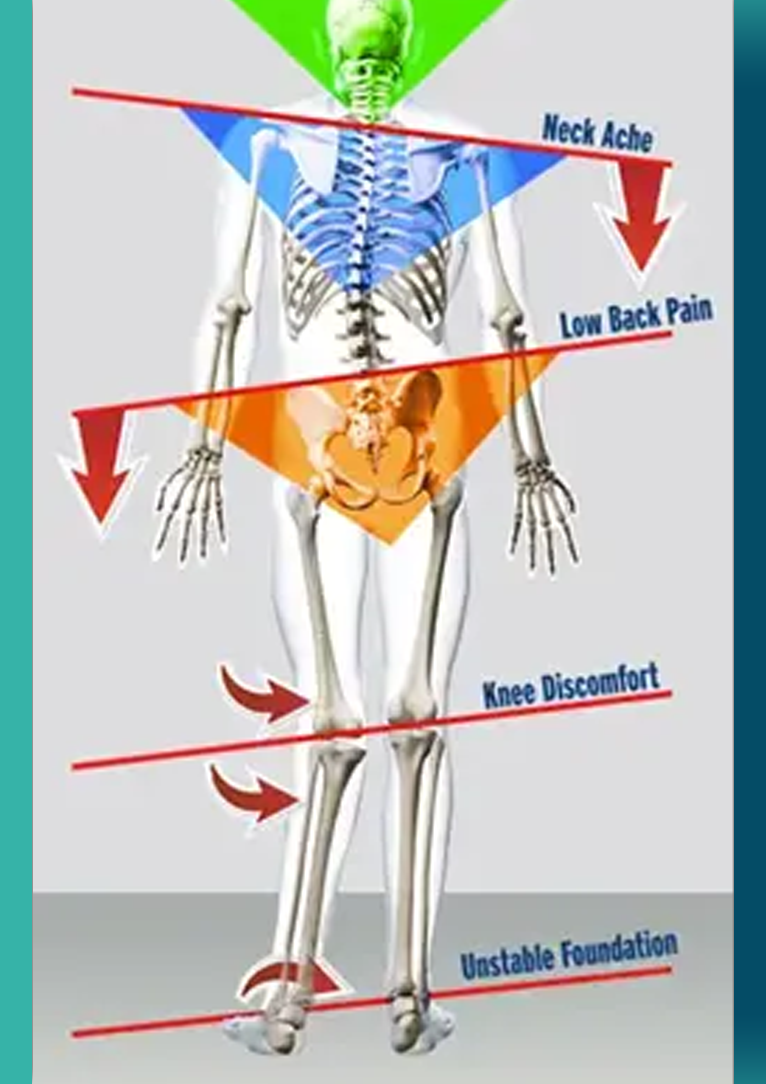 Alignment analysis d.png