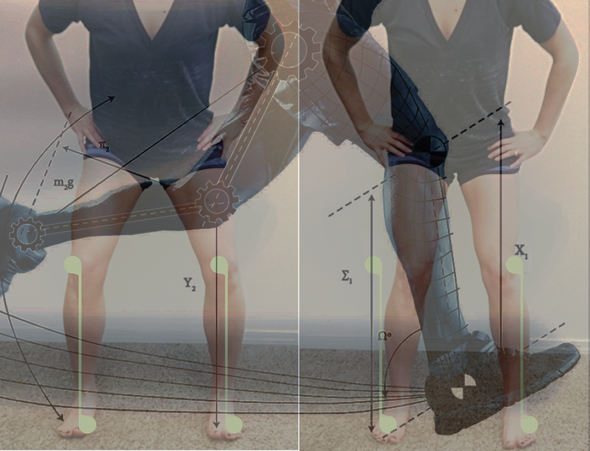 Muscles and Movement part 1 of 3