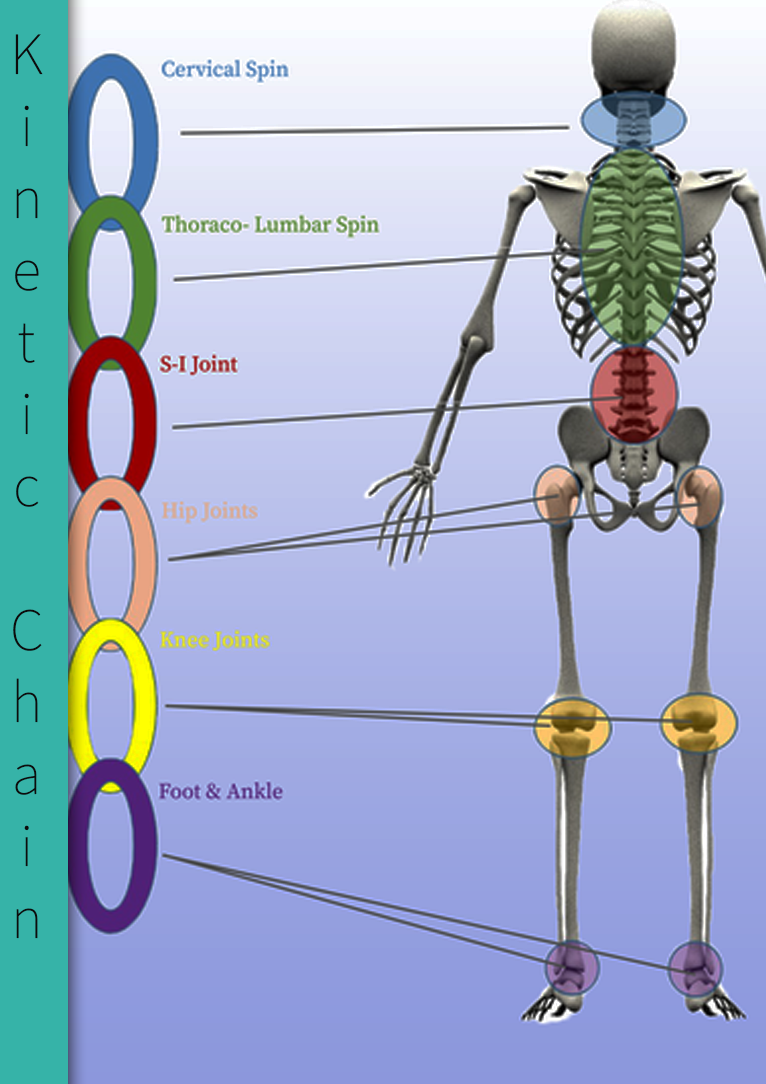 Alignment analysis c.png