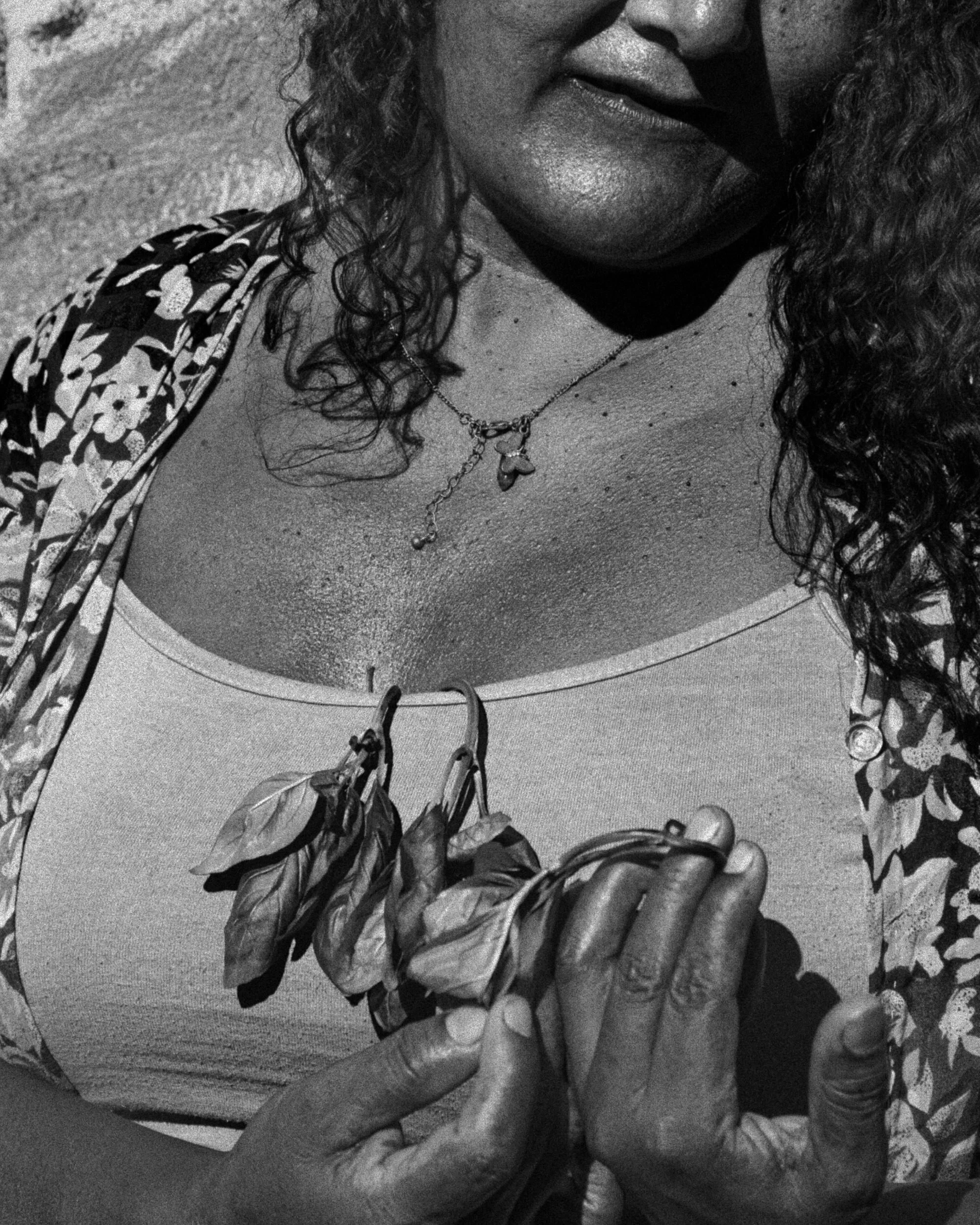 024_ZNK_6400-2 Valida2 grana profonda.jpg