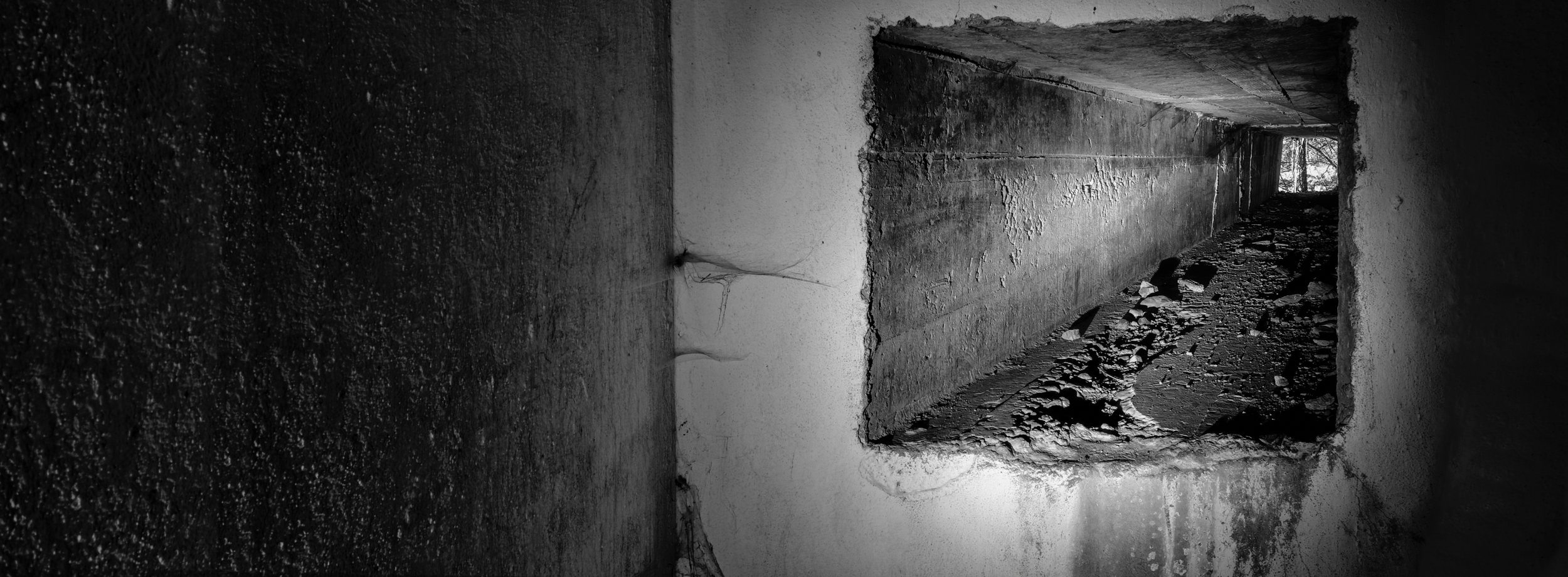 Screenshot 2026-02-20 alle 12.40.02.png