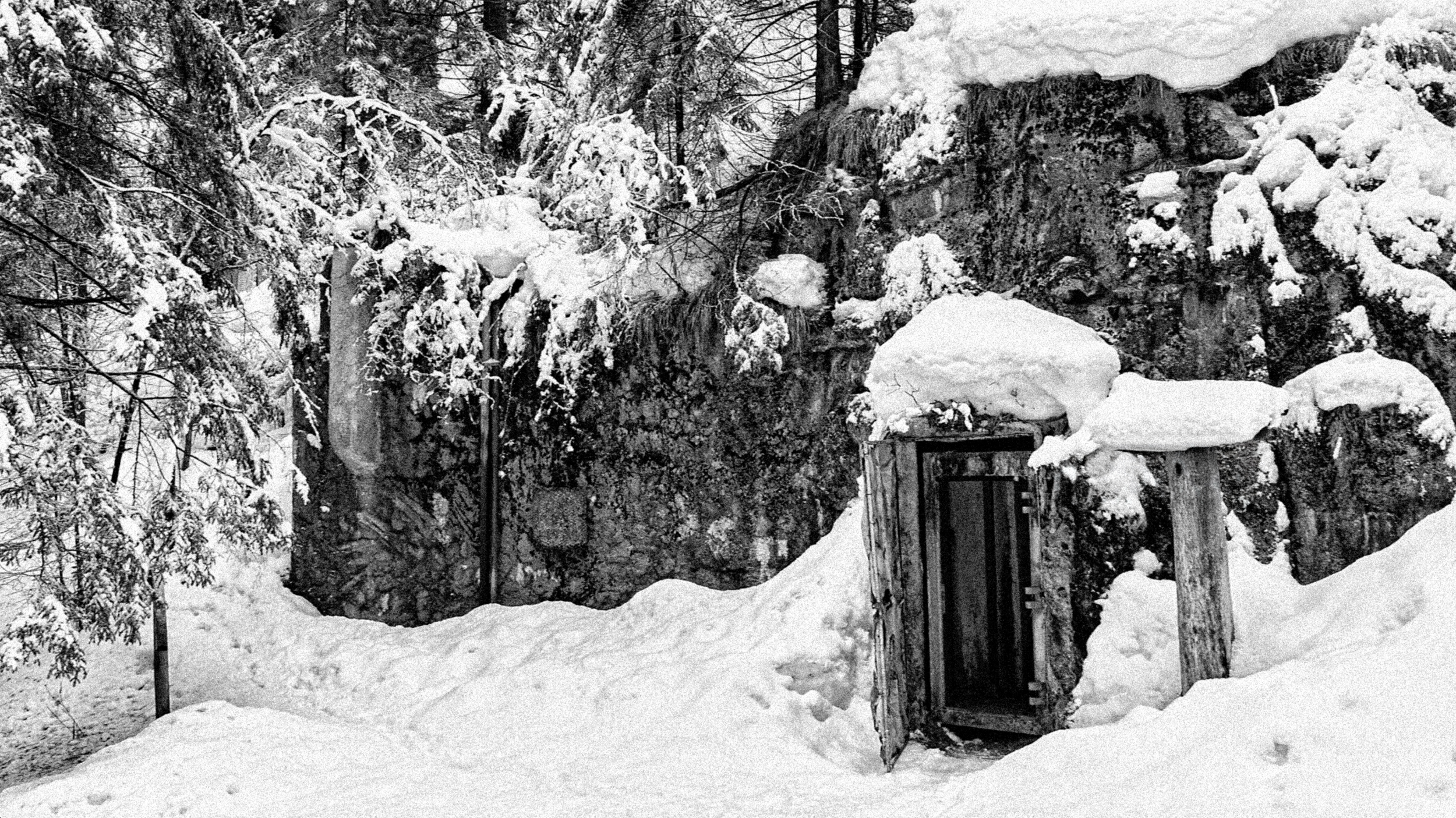 Screenshot 2026-02-20 alle 12.40.42.png