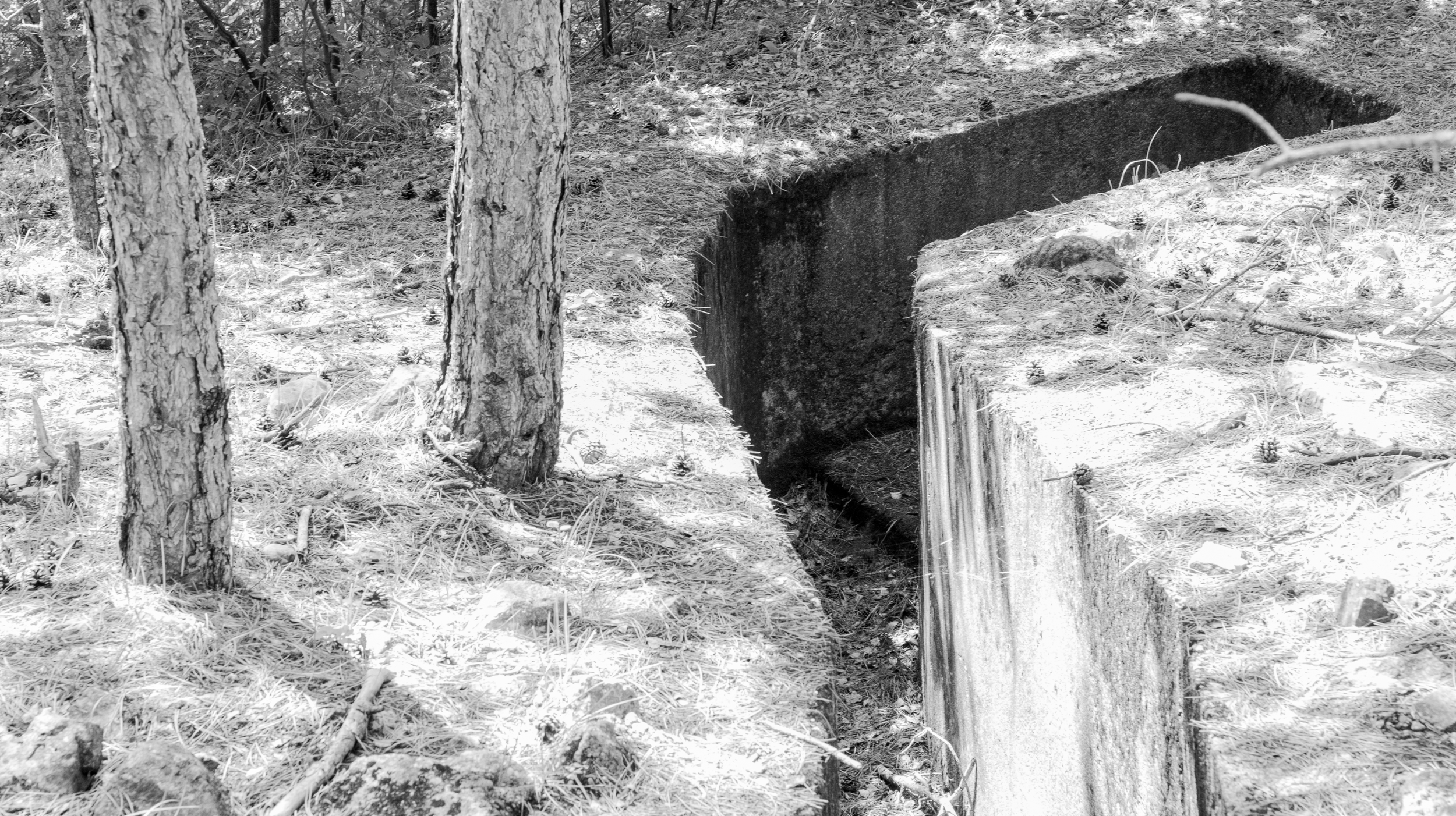 Screenshot 2026-02-20 alle 12.41.36.png