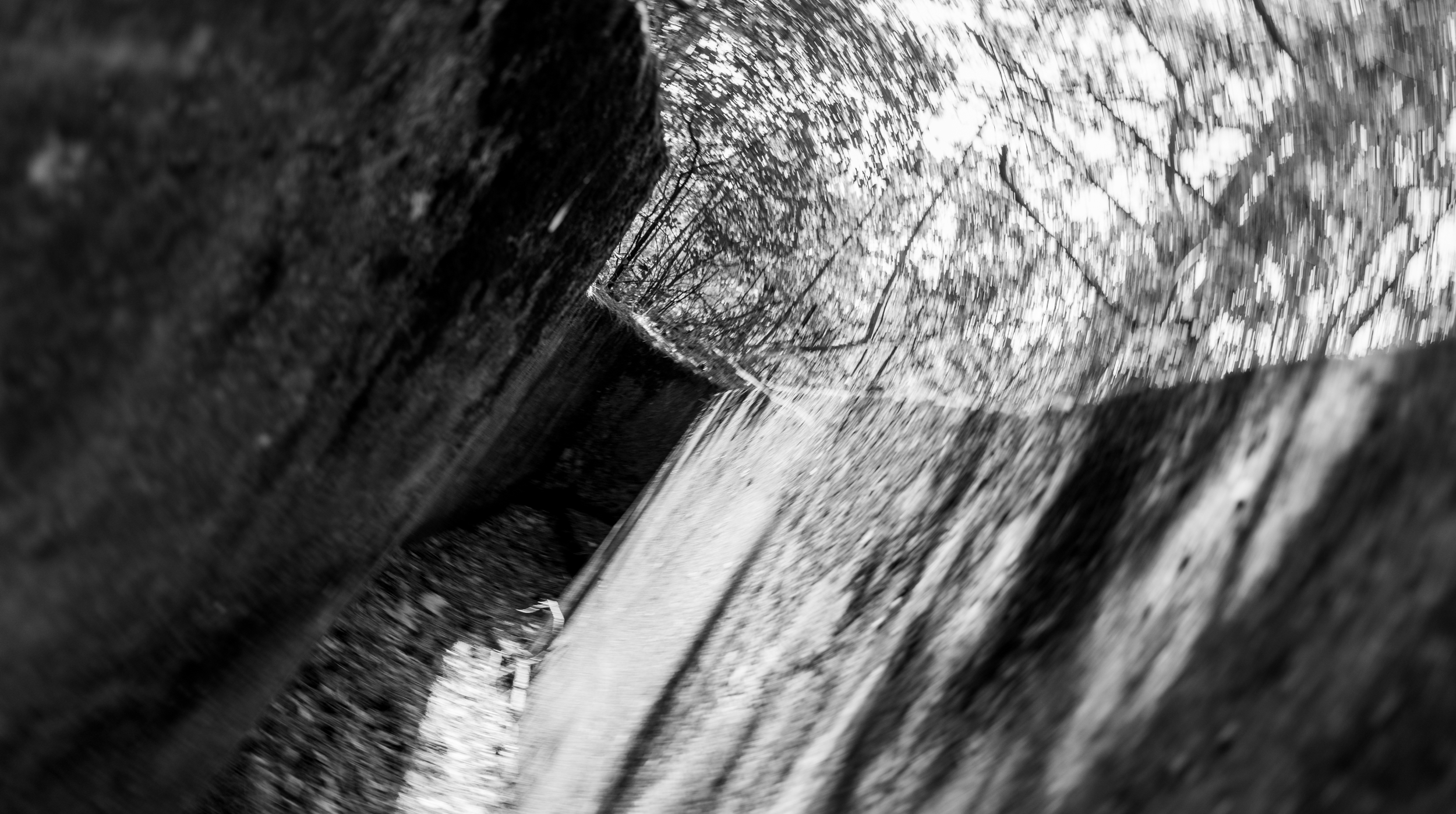 Screenshot 2026-02-20 alle 12.41.50.png