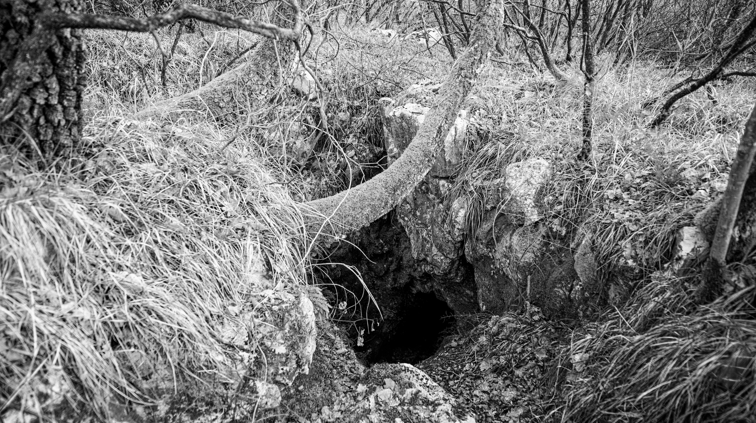 Screenshot 2026-02-20 alle 12.42.22.png