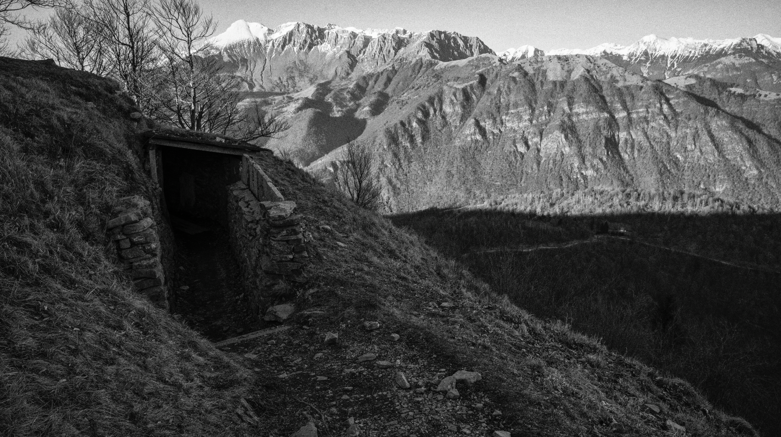 Screenshot 2026-02-20 alle 12.43.13.png