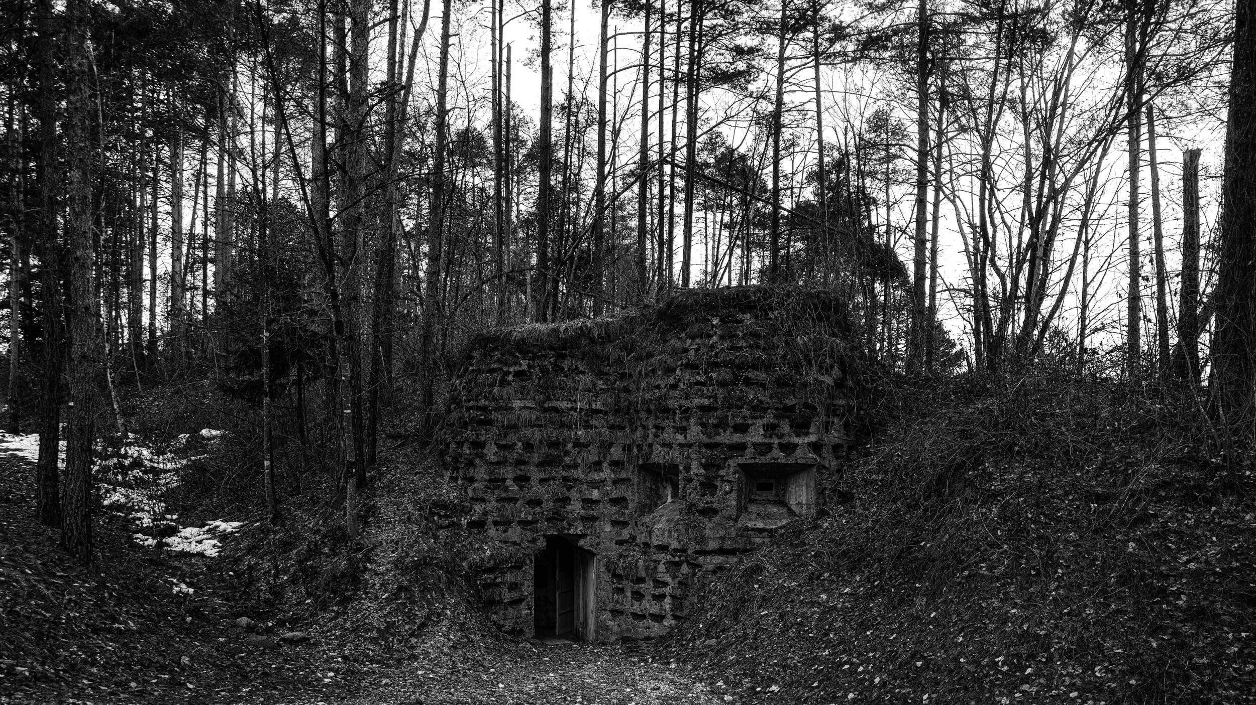 Screenshot 2026-02-20 alle 12.44.36.png