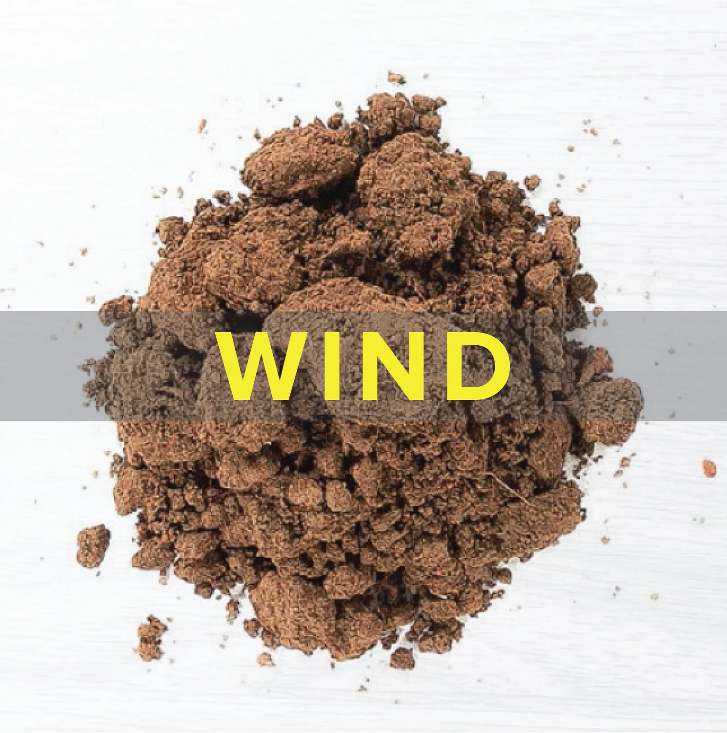 Wind.jpg