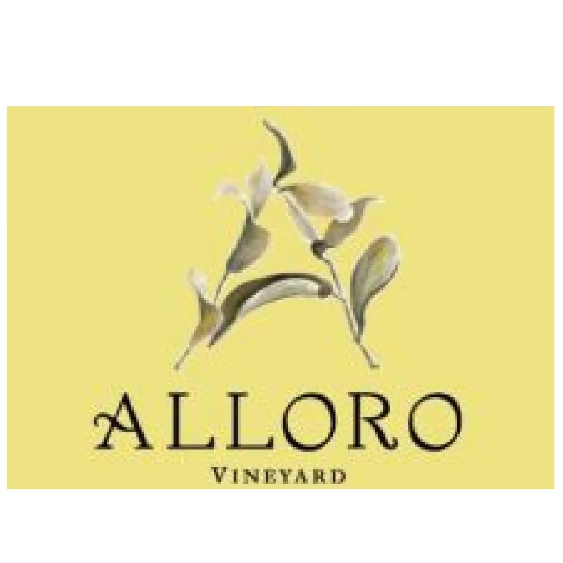 Alloro-01.jpg