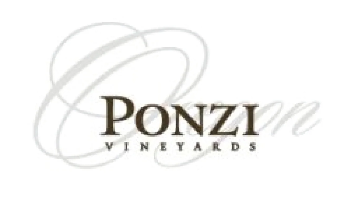 Ponzi-01.jpg