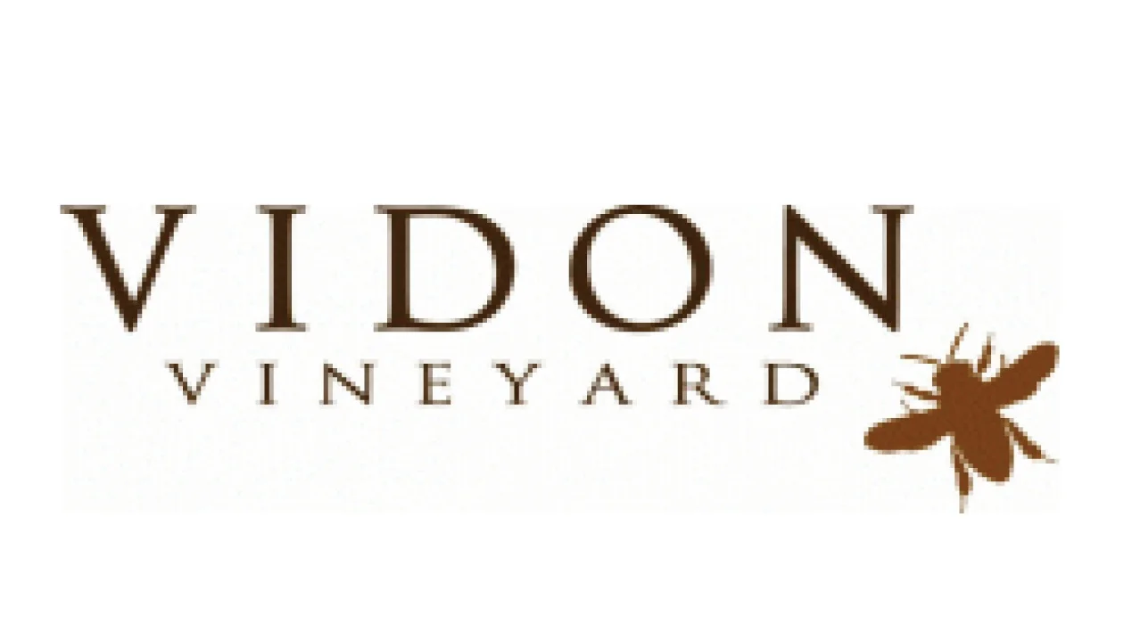 Vidon-01.jpg