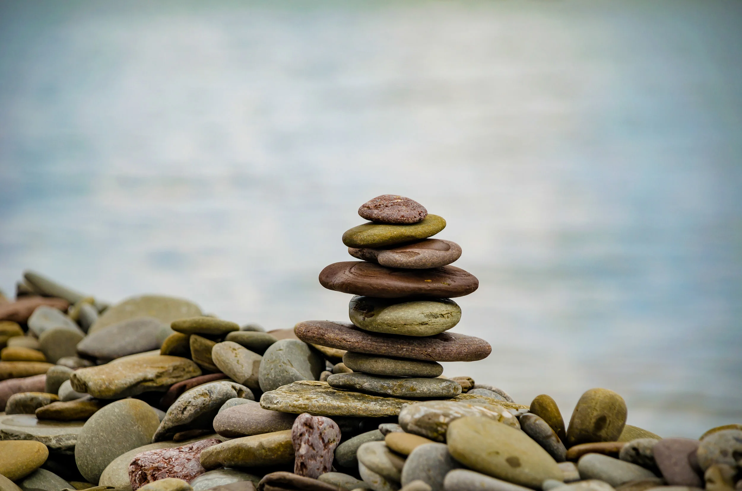 MAKING SENSE OF NONSENSE