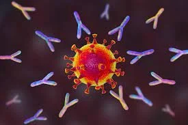 YOUR IMMUNE SYSTEM AND WHY IT IS SO IMPORTANT, ESPECIALLY DURING A PANDEMIC