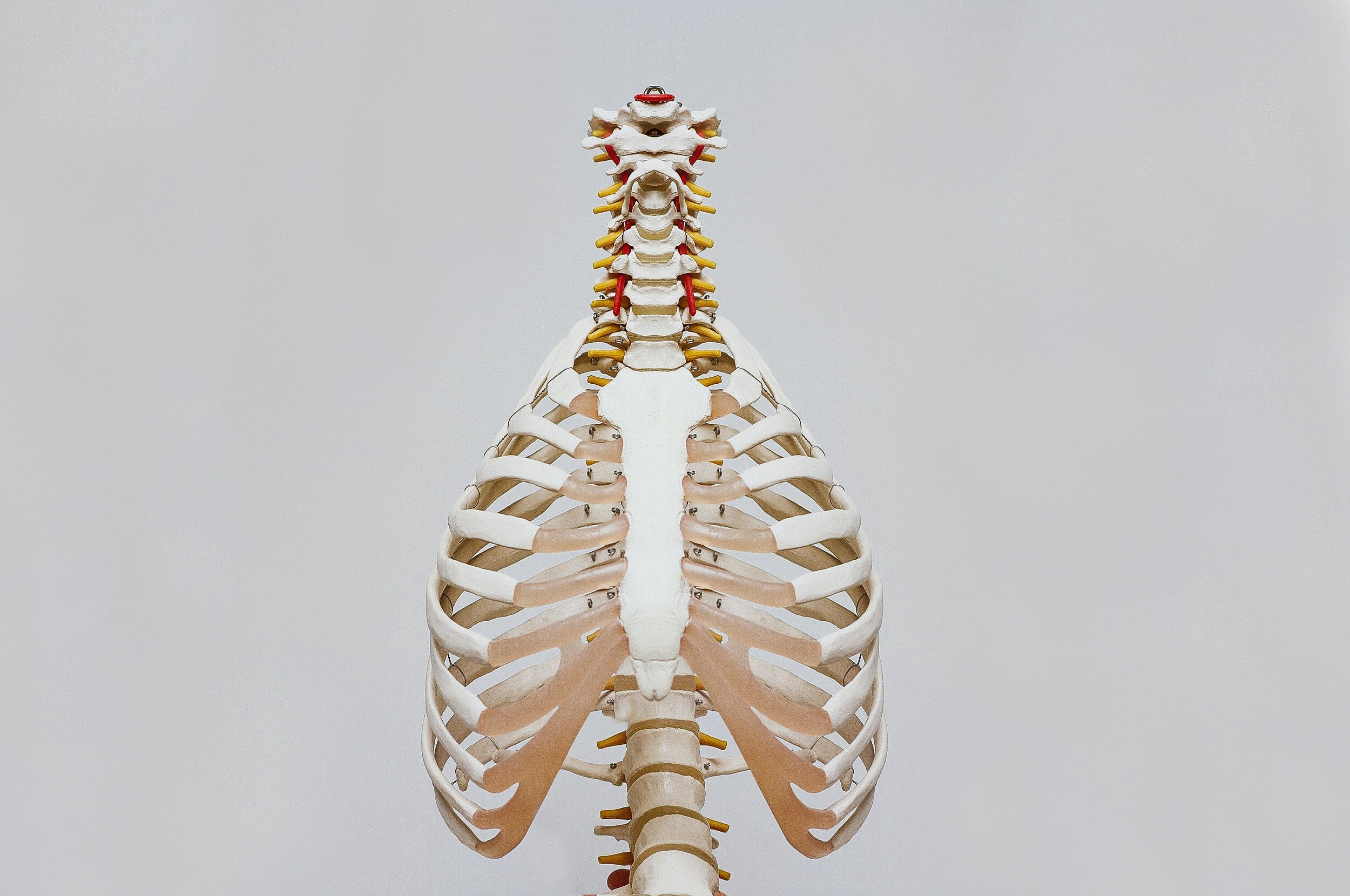 Rib Cage Breathing