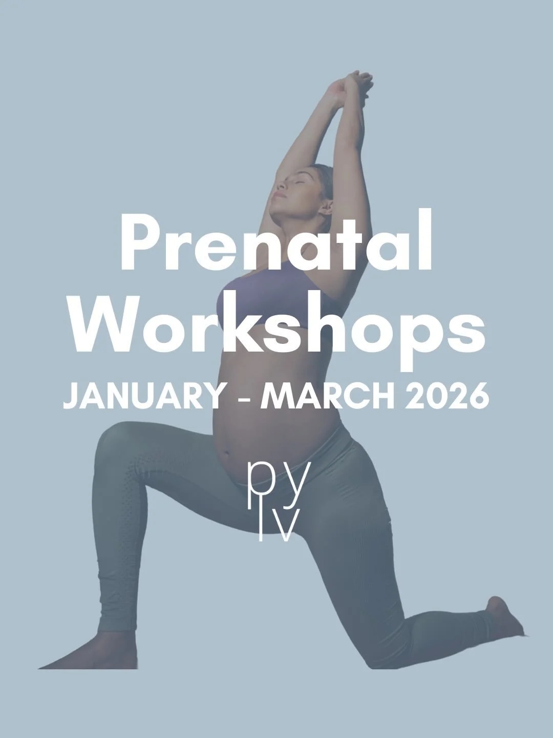 Expecting? We&rsquo;ve got you 💕
Our Prenatal Workshops at PYLV are here to help you feel informed, supported, and empowered.

🧘&zwj;♀️ Partner Prenatal Yoga + Birth Prep &mdash; Feb 20
👶 Birth Basics &mdash; April 25 &amp; 26

Save your spot 👉 h