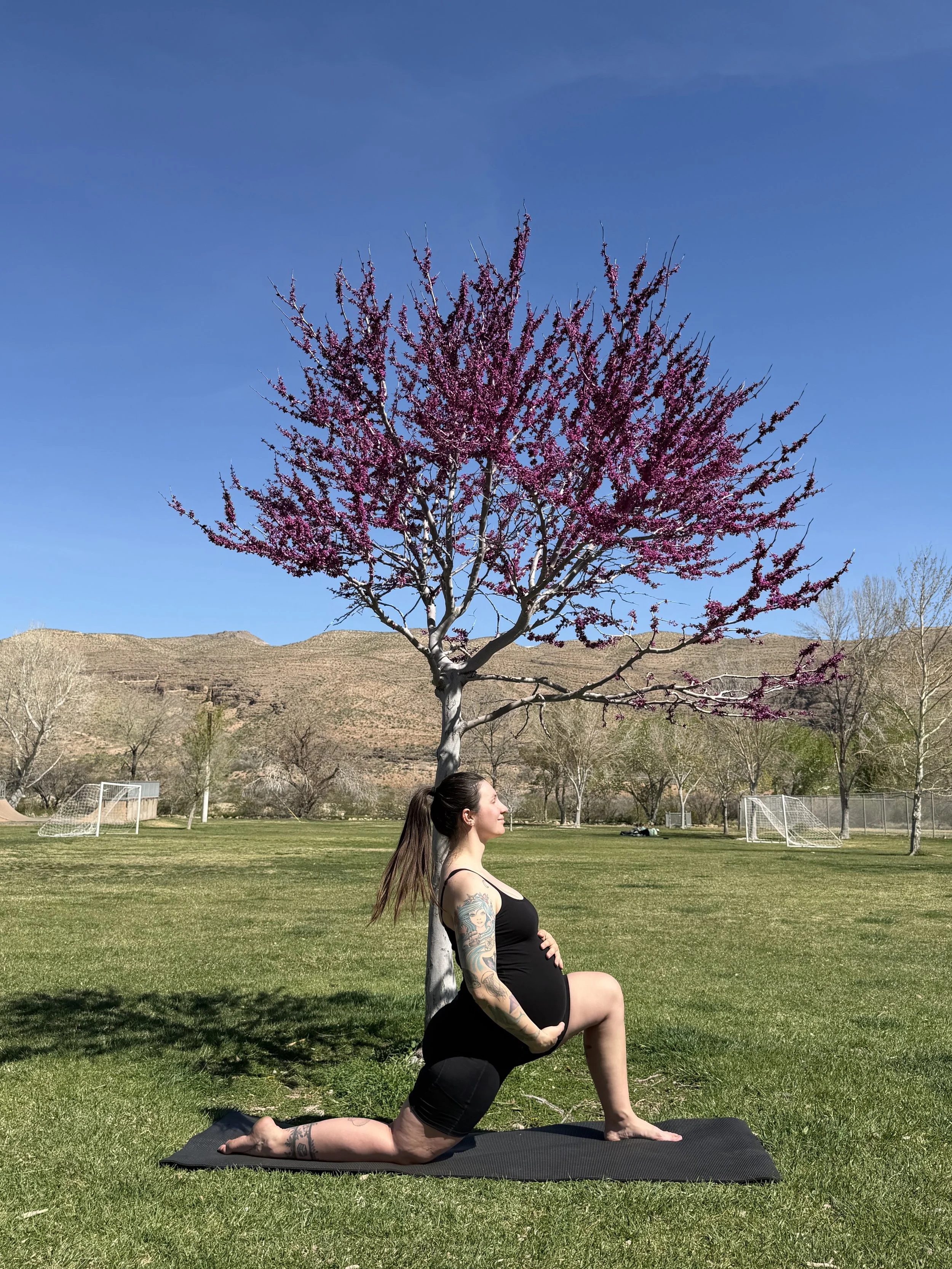 Prenatal low lunge with cherry tree and mountains in the background at Spring Mountain Ranch Park