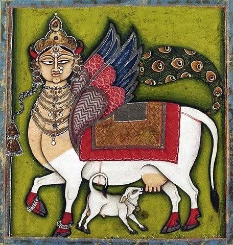 Ancient Vedic sages regraded the cow as sacred and saw her as the living representation of the Earth Goddess (Parvati). This painting is an artist&rsquo;s representation of Kamadhenu, the mother of all cows who fulfils all desires. She is known to pr