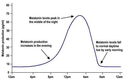 melatonin_graph.jpeg