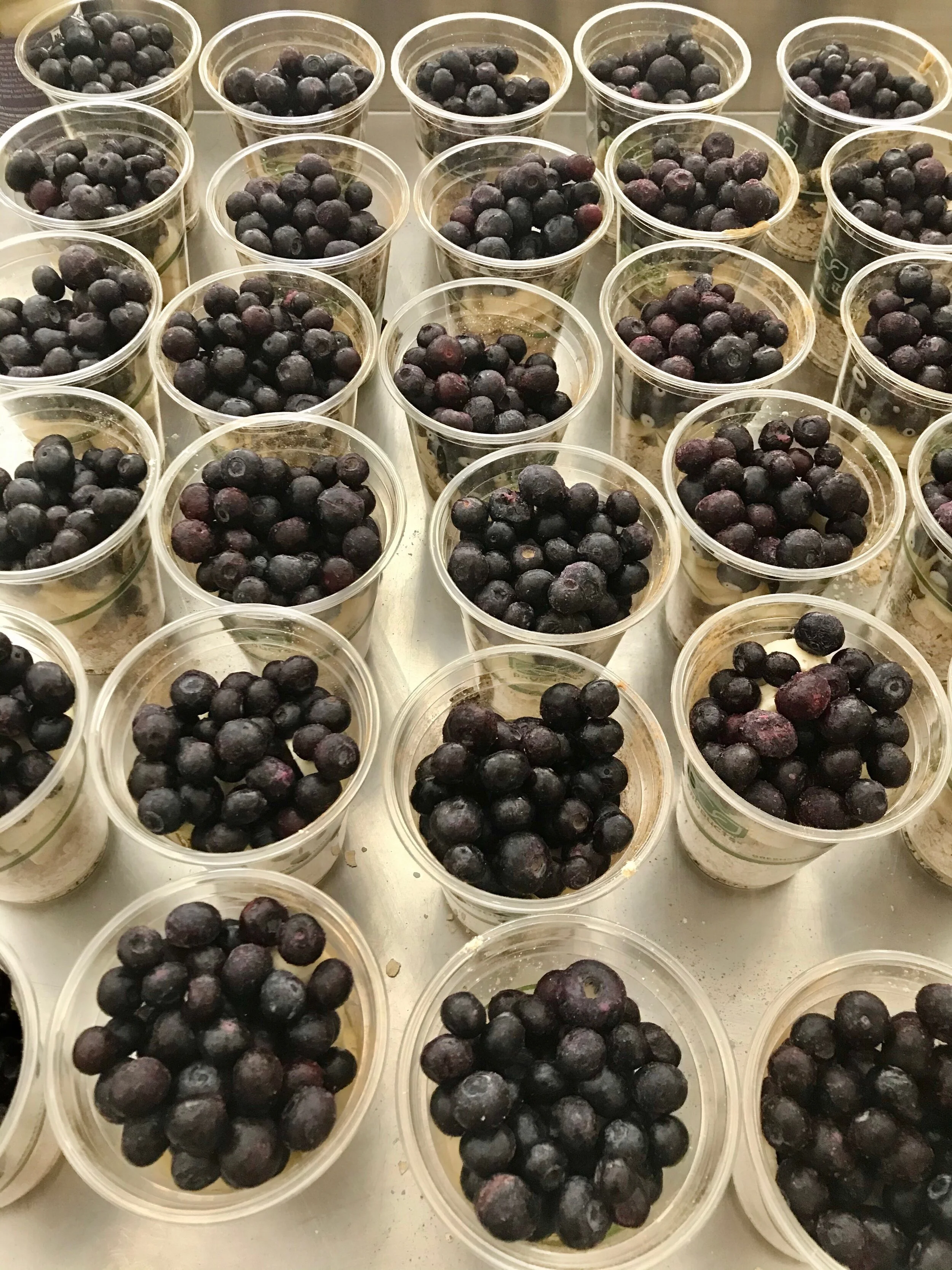 Bountiful Blueberries!