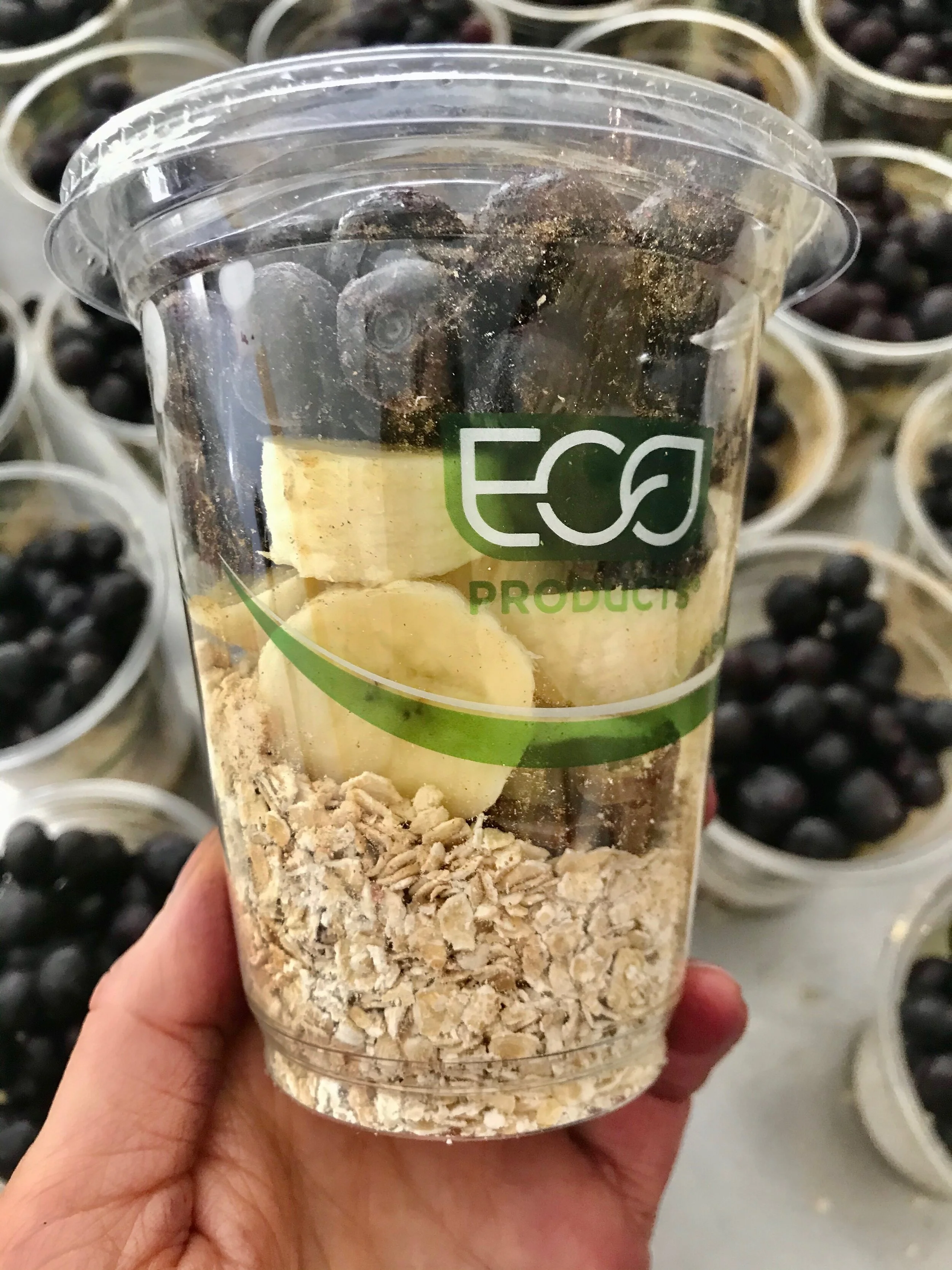 Blueberry Protein + Oats