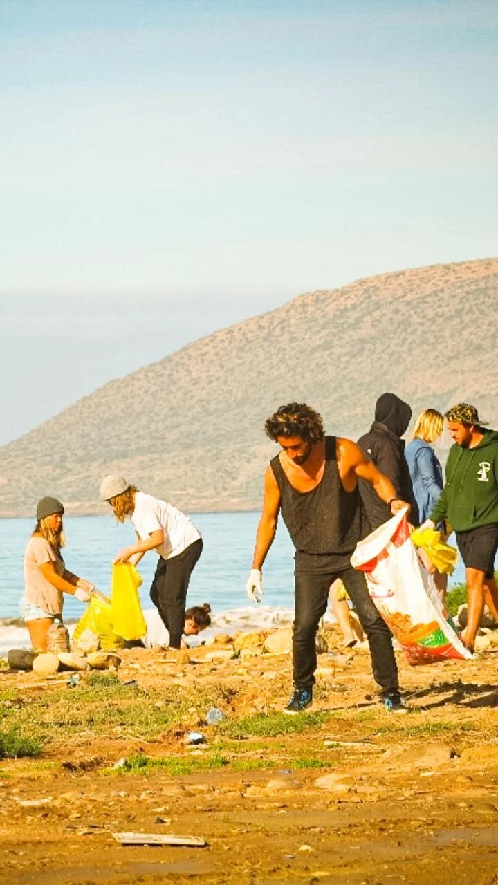 beach clean-ups are very important 