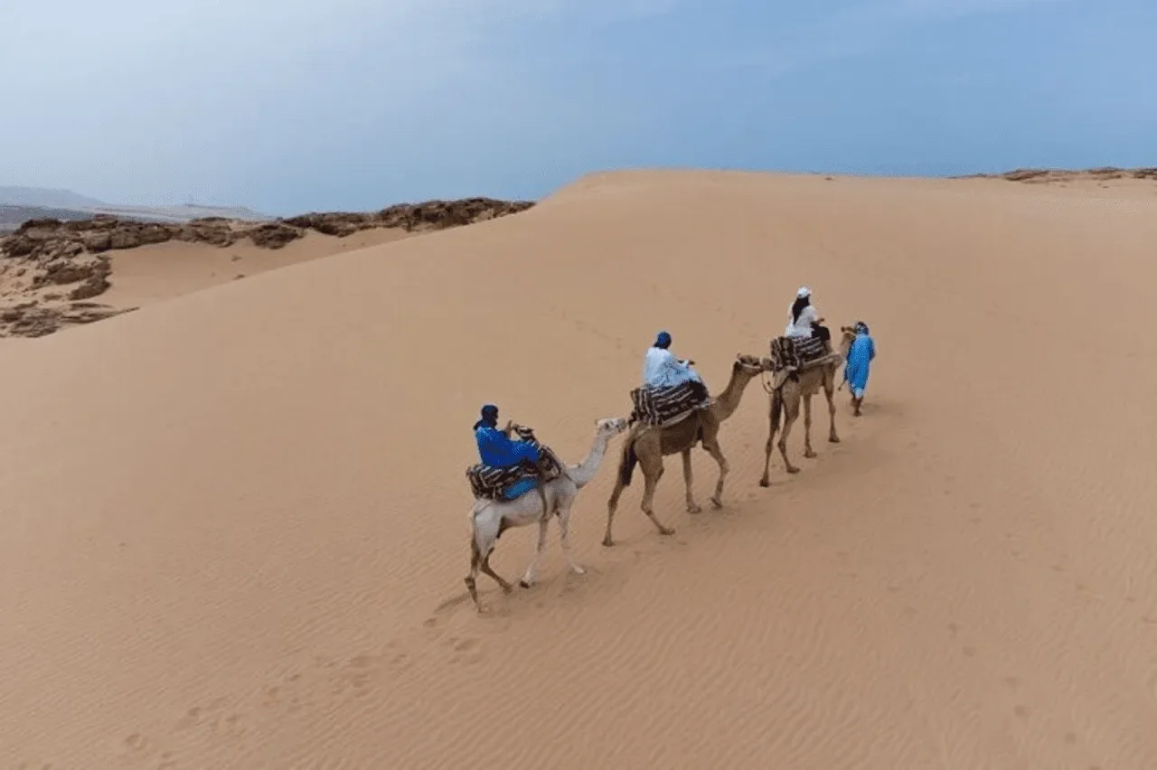 Camel-Ride-Timlalin-Dunes-Desert-Tour.png.webp