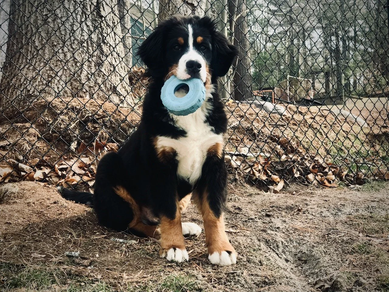 Park Progress Update, November 2021