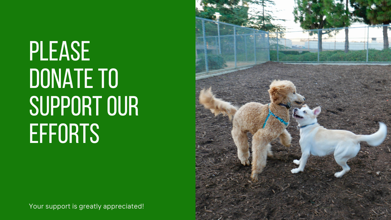 Friends of the Marshfield Dog Park