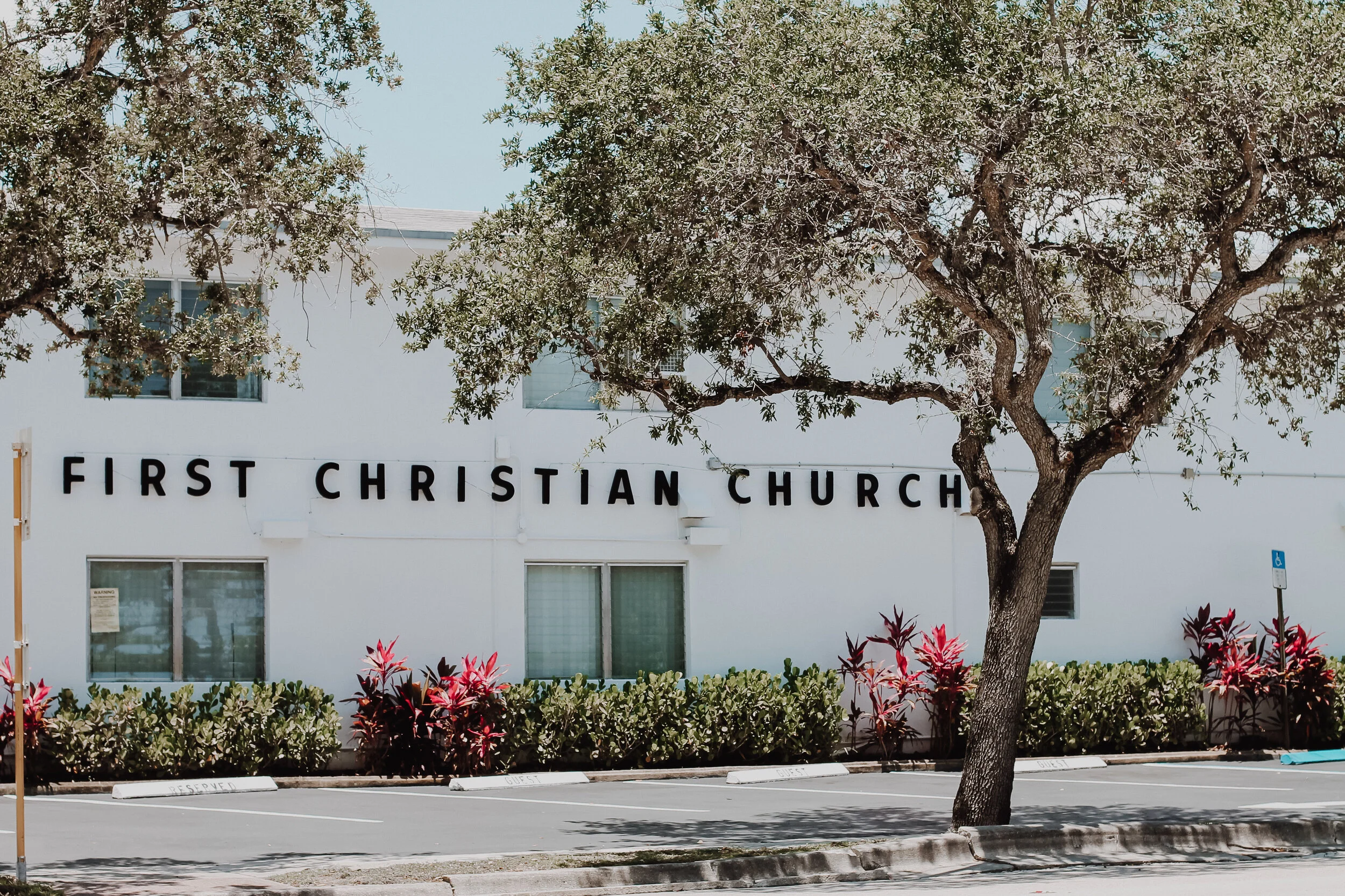 WE'RE BACK : SUNDAY’s