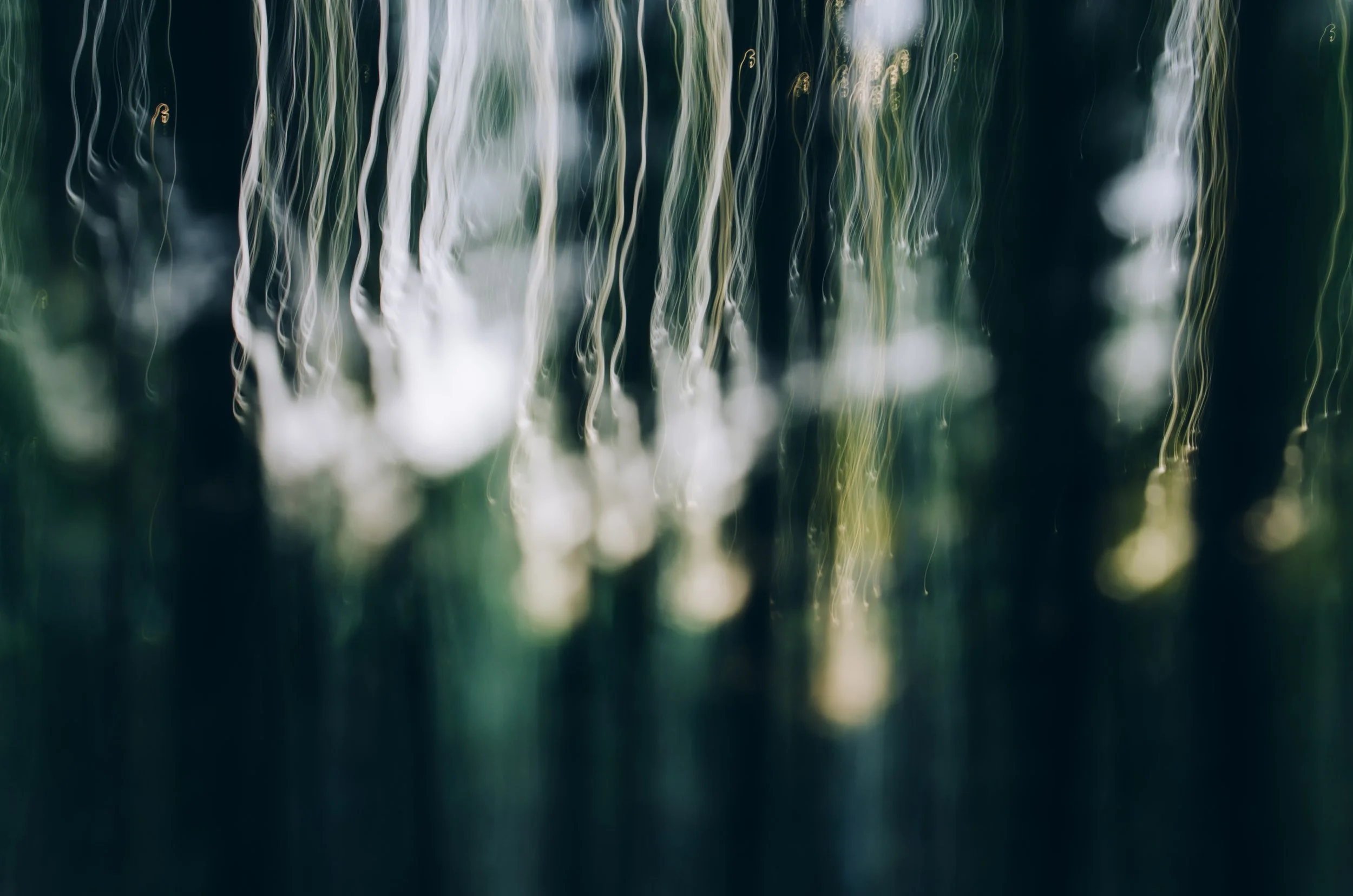 Data-Driven Decisions for E-commerce Success: A Fractional CMO's Guide to Growth