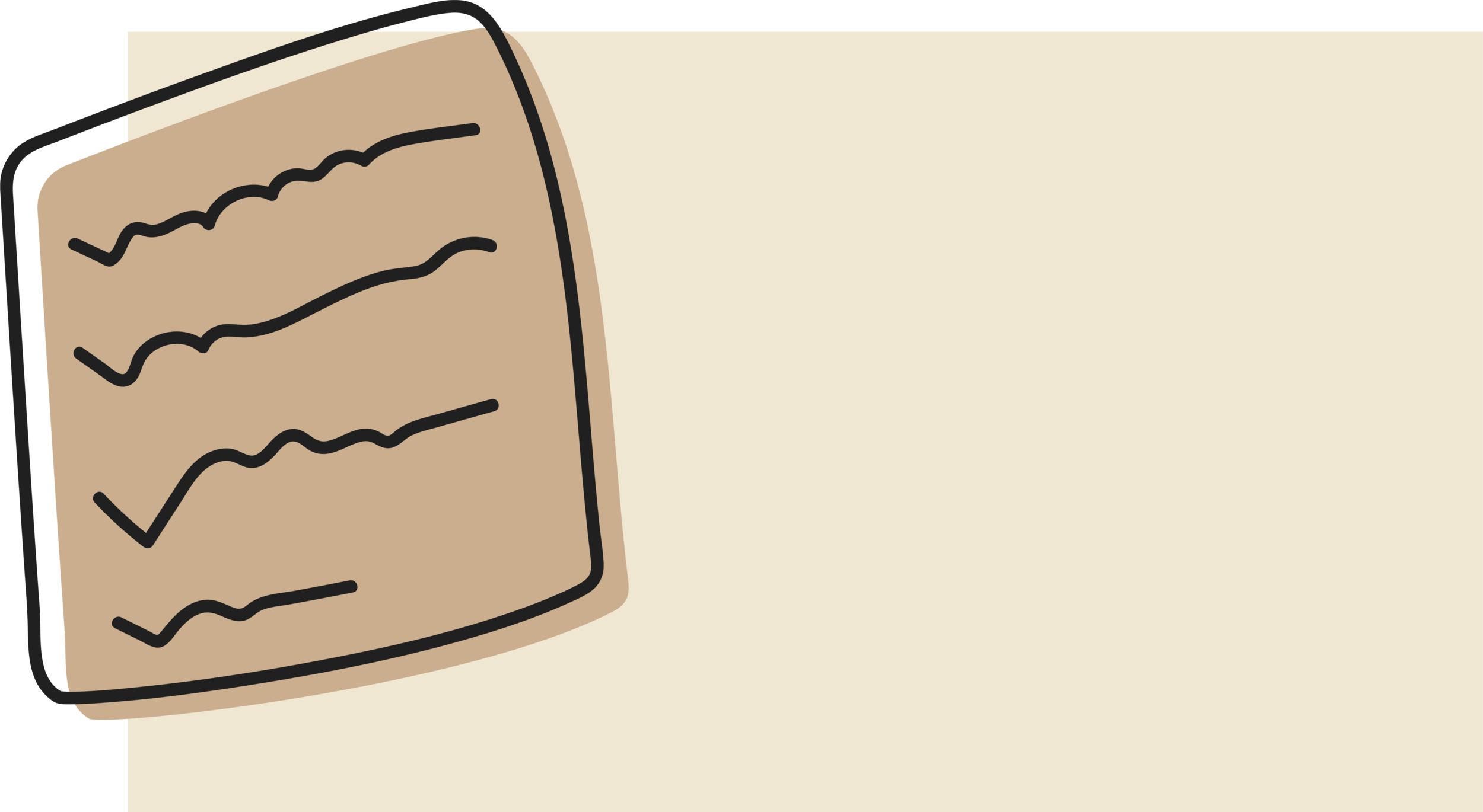 Asset 47@300x.png