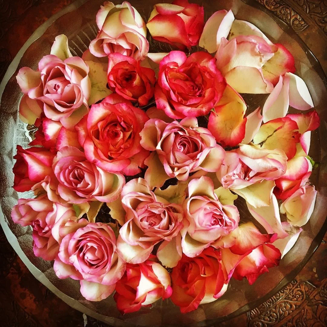 Trusting you are enough workshop. 