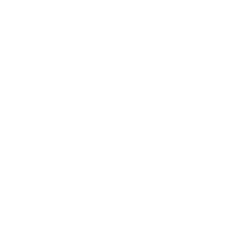 what-people-saying-icon-white-225p-v2.png