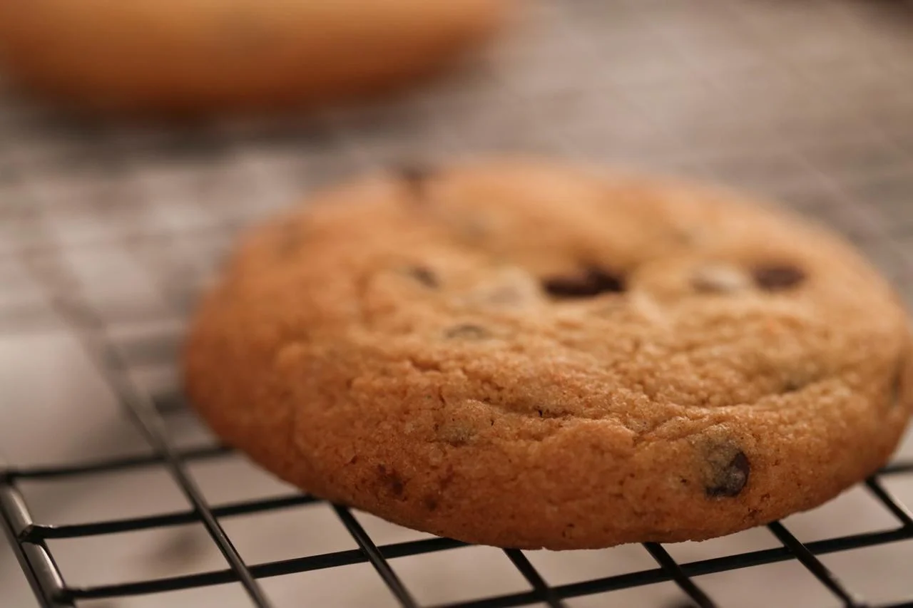 WhatsApp Image 2019-04-26 at 8.10.50 AM (1).jpeg