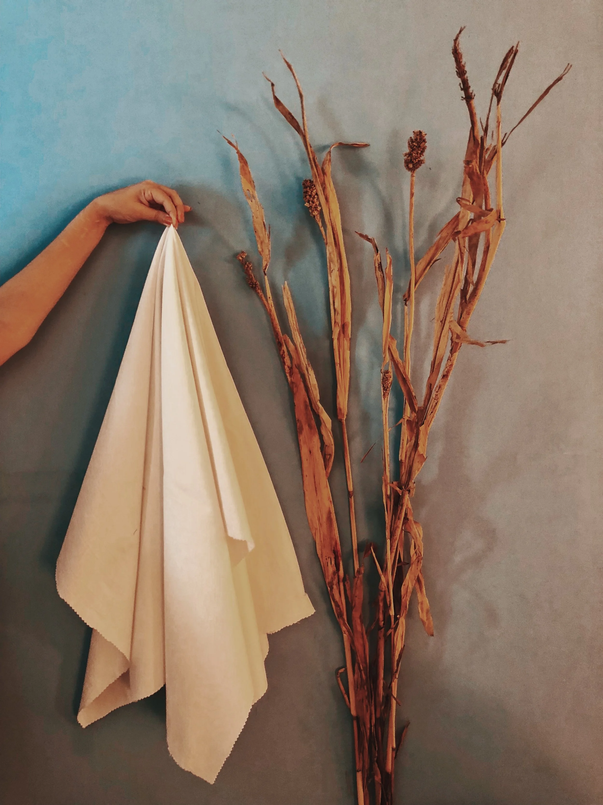 FD5882A6-F93B-48E3-84DB-D189A39AA366 (1).jpeg