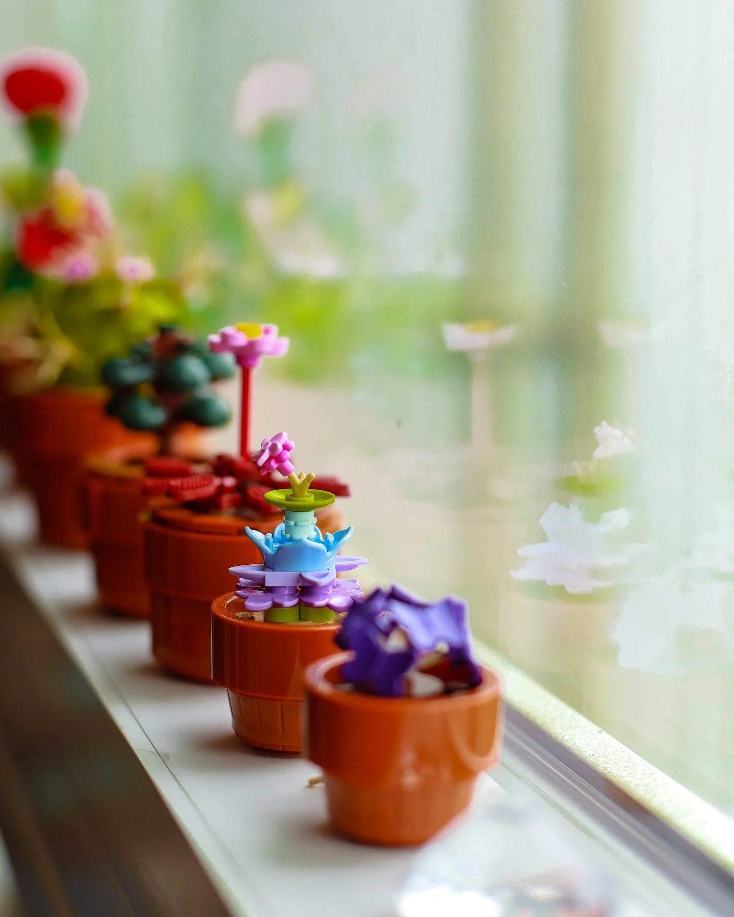 August slipped away into a moment in time 🎀🪅

#basmahmasood  #sanfranciscobay #legoflowers