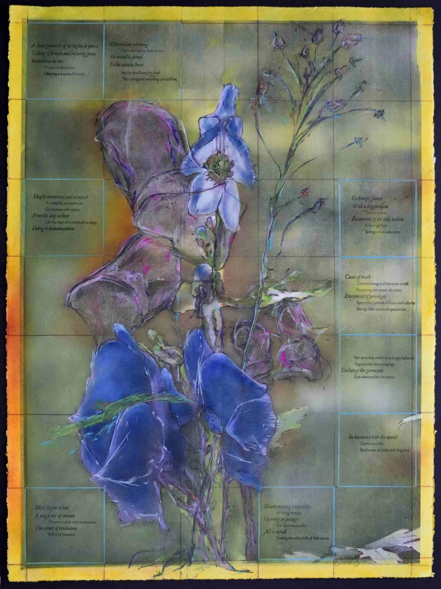    Pacifica, an Introduction     Pacifica Portfolio (#15),  Photocopy, drawing, litho ink, letterpress on Rives BFK, 22 x 30 