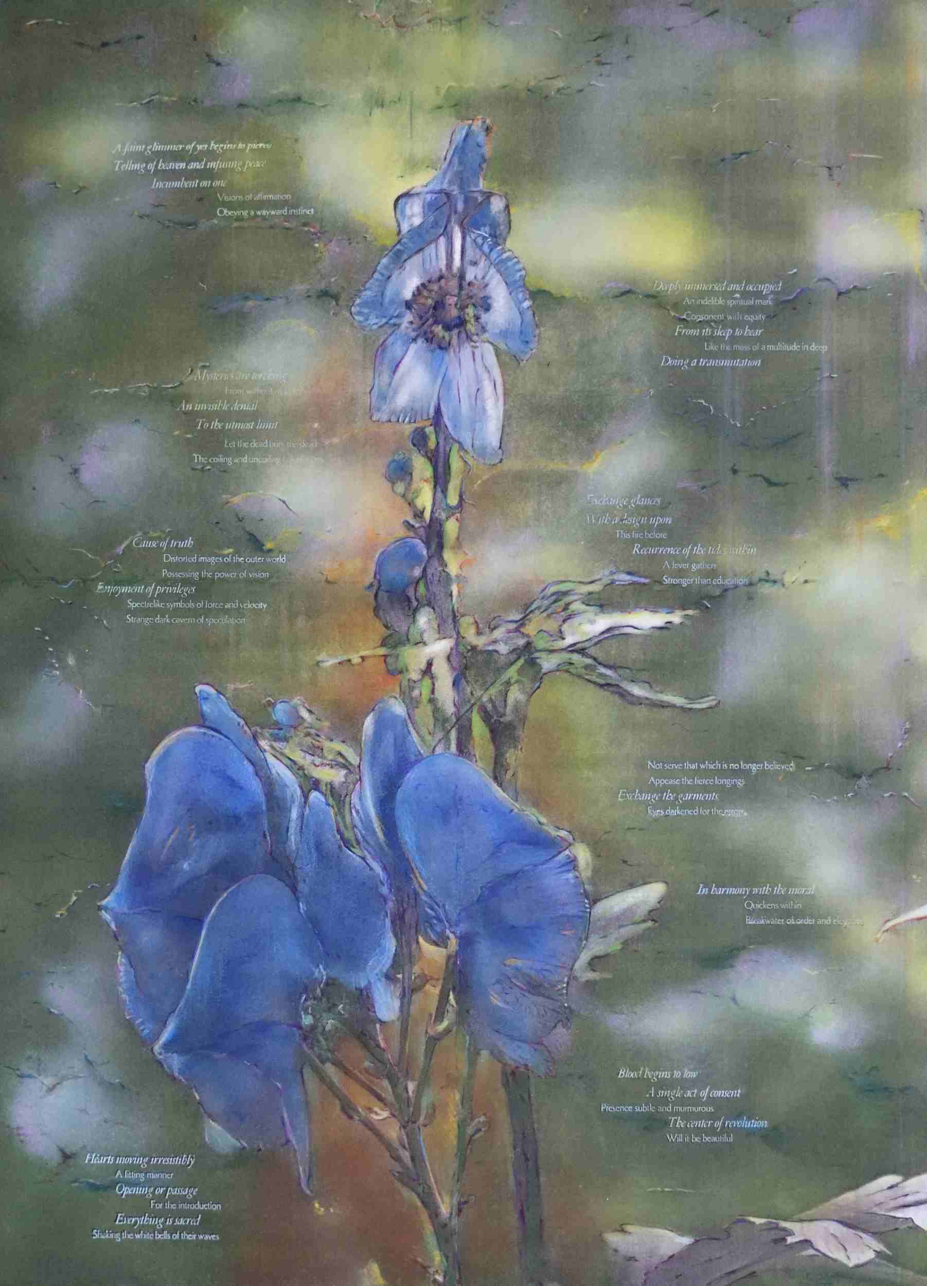    Pacifica, an Introduction       Pacifica Portfolio (#16),  Photocopy, drawing, litho ink, letterpress on English Etching, 20 x 28 